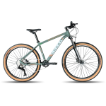 Bicicleta 29