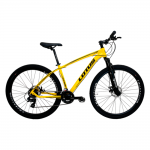 Bicicleta 29