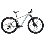 Bicicleta 29