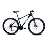 Bicicleta 29