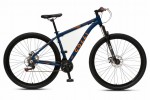 Bicicleta 29